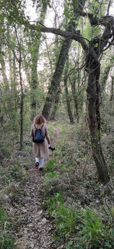 woman walking between trees in the forest