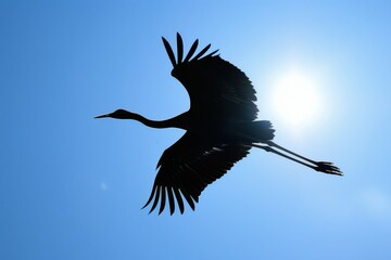 Naklejka premium A closeup of a crane midflight, its neck elegantly arched and wings fully extended. The birds feathers catch the sunlight as it flies through a clear blue sky