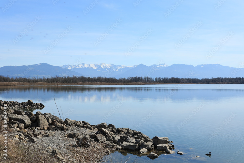 Poster Blick auf die Naturlandschaft am Einlauf des Rheins in den Bodensee bei Hard in Österreich	