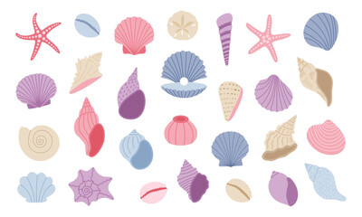 Cute seashell, starfish, clam. Sea shell set. Hand drawn vector illustration isolated on white background