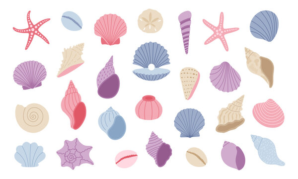 Cute seashell, starfish, clam. Sea shell set. Hand drawn vector illustration isolated on white background
