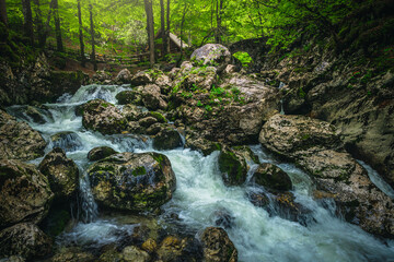 Creek with cascades in the green forest, Slovenia