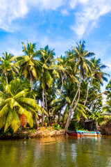 Boat safari through mangrove jungle Bentota Ganga River Bentota Beach Sri Lanka.