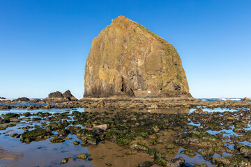 The tide out at Haystack Rock in Cannon Beach Oregon