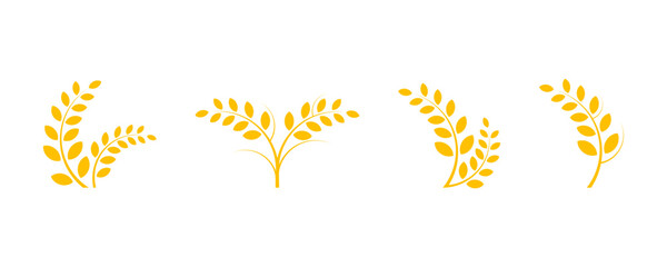 Set of yellow wheat vector icons. Golden  grain. Cereal harvest. Vector 10 Eps.