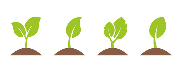 Set of green seedling. Sprout from ground. Grow young tree. Vector 10 Eps.