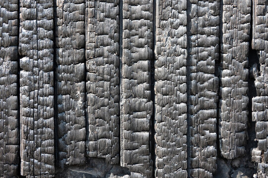 Black charred planks of the cladding of a burnt wooden house. Background. Texture.
