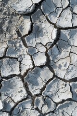 Fototapeta premium Deep Crack in Dry Desert Ground. Generative AI