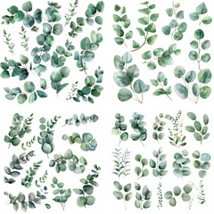 Fototapeta premium invitation painting silver herb print watercolor wedding greenery greeting herbal elegant exotic 