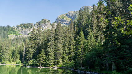 Mountain landscape