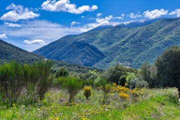 Wunderschönes Brantes in der Provence