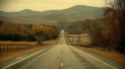 Tranquil country road cutting through majestic autumn woodlands landscape in the countryside