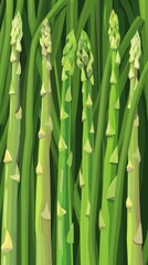 Eye-catching vector illustration of stylized green asparagus spears, suitable for use in food blogs, dietary guides, and agricultural marketing