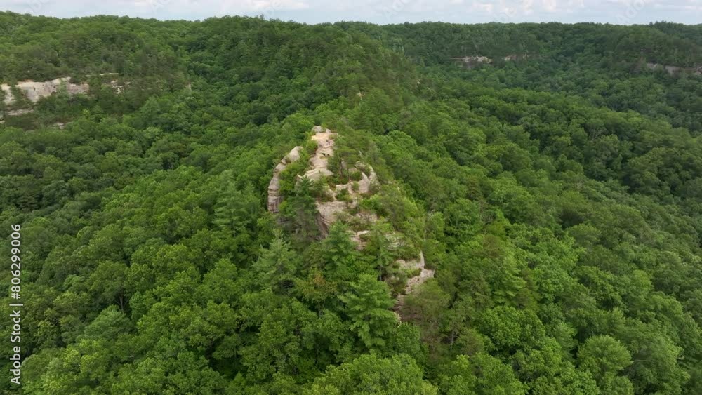 Poster aerial drone view over kentucky forest