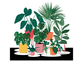 Houseplants, Assorted houseplant collection — hand-drawn vector elements, Top- and room plants, Set of houseplant illustrations, Watercolor Small Pot Plants, Mediterranean composition.