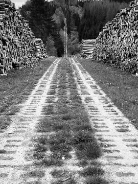 Concrete border path of the former inner-German border between the BRD and the DDR, german history, harz, black and white photography