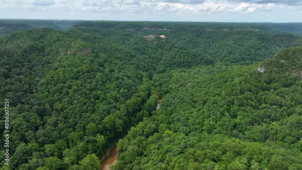 Poster aerial drone view over kentucky forest