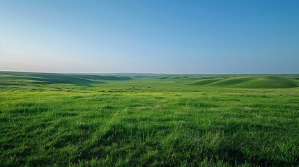 Obraz premium Vast green rolling hills under blue sky