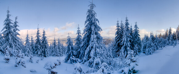 Scenic winter landscape with fresh snow covered trees