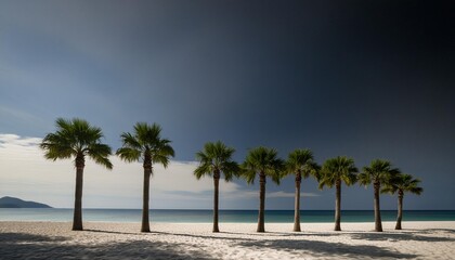 a line of palm trees framing white sand against the background of a sparkling ocean creates a pi