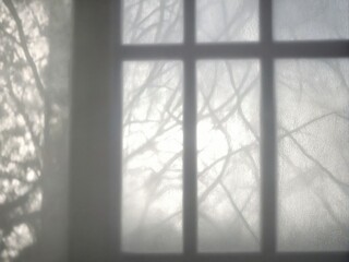 window in the fog