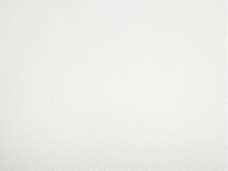 Fototapeta premium white paper texture