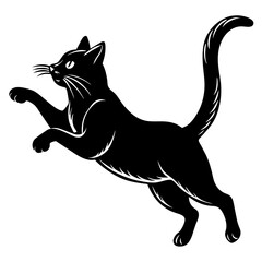 black cat on a white background vector illustration