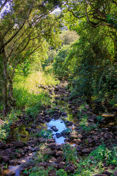Stream in Waimea Park in Oahu, HI