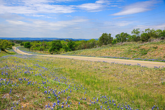 Texas Hill Country road in Spring with Bluebonnets blooming