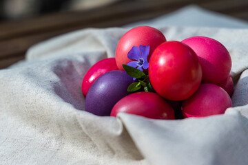 Vibrant Harvest: Red and Purple Tomatoes on White Cloth