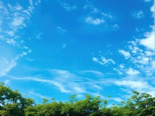 Obraz premium Background and Texture