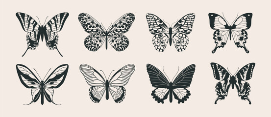 Set of beautiful exotic butterflies. Collection of vintage hand drawn illustrations of moths, top view. Elegant monochrome exotic insects with antennae.