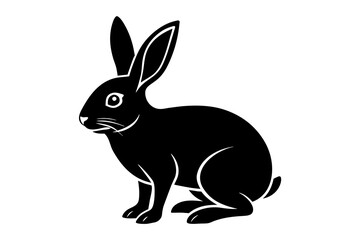 rabbit-vector-icon 