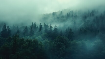 Enchanting image of mist weaving through a dense forest at dawn evokes mystery and the beauty of...