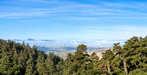 Panoramic view from the hiking trail to Torrecilla peak, Sierra de las Nieves national park, Andalusia, Spain