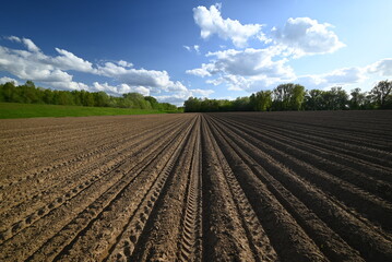 Pole perfekcyjnie zaorane © grzegorz