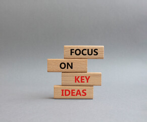 Focus on Key Ideas symbol. Concept words Focus on Key Ideas on wooden blocks. Beautiful grey background. Business and Focus on Key Ideas concept. Copy space