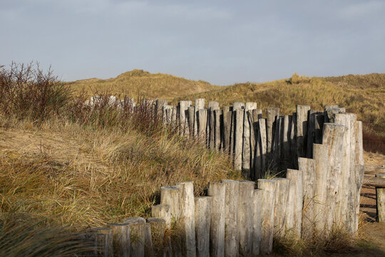 Log fence stands with steps, Parnassia aan Zee, Holland