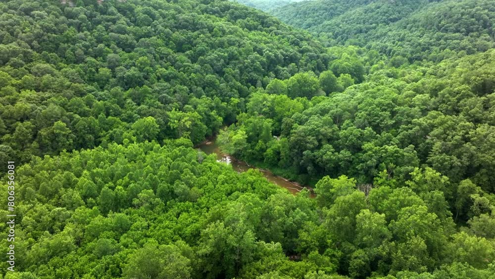 Wall mural aerial drone view over kentucky forest