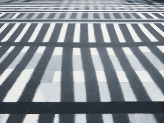 black and white lines