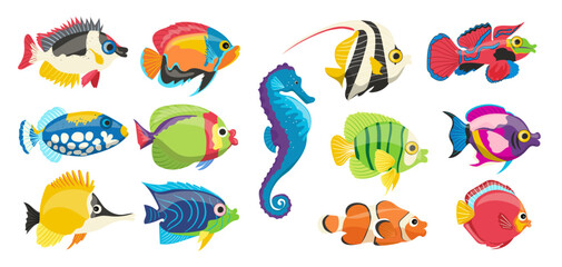 Different kind colorful sea fish, tropical water inhabitant, aquarium animals set isolated on white