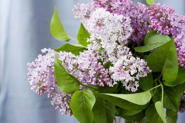 Beautiful bouquet of fresh lilacs. Close up lilac inflorescence. Large bouquet of lilac spring flowers. romantic gift bunch of fragrant lilacs. Selective focus