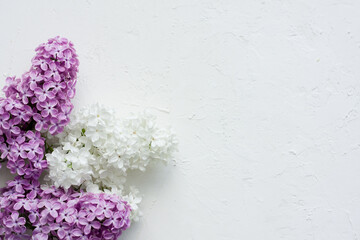 Fresh white and purple lilac flowers on white background. Beautiful spring flowers. Greeting card with space for text. Top view, flat lay, copy space