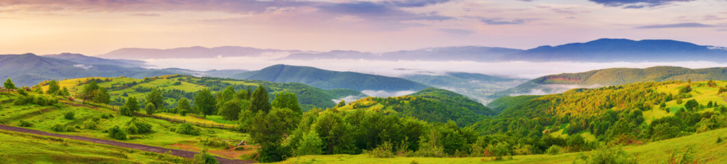 Fototapeta premium panorama of carpathian countryside scenery at sunrise in summer. mountainous landscape of ukraine with rural fields and meadows on the forested hills. fog in the distant valley