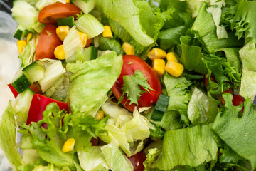Colorful sallad with tomatoe, maize, pepper and greenery.