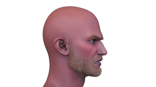 男性の顔アップ　3DCGレンダリング