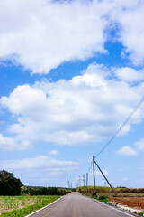沖縄の青空と道