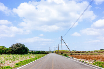 沖縄の青空と道