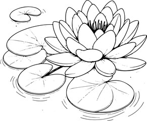 N&eacute;nuphar ou lotus - Dessin au trait line art, vecteur noir avec contour isol&eacute; fond transparent. Style minimaliste, peut convenir a page de livre de coloriage, journal, agenda, cahier.