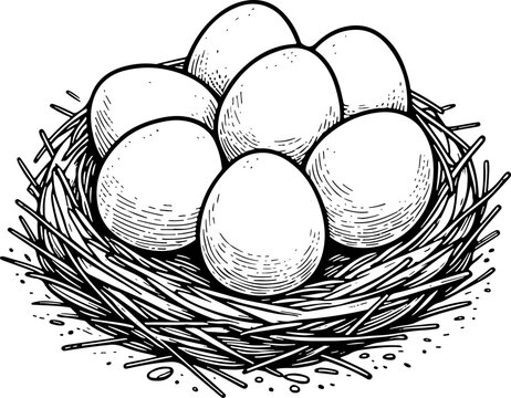 recommend clip art: Plusieurs oeufs - Dessin au trait line art, vecteur noir avec contour isolé fond transparent. Style minimaliste, peut convenir a page de livre de coloriage, journal, agenda, cahier.